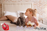 Belle soirée - 無料のアニメーション GIF