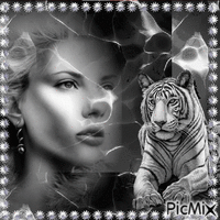 Le tigre et la Tigresse - Безплатен анимиран GIF