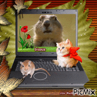 les animaux et l'ordinateur GIF animé