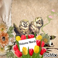 march owl GIF animé