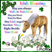 Irish Blessing GIF animado