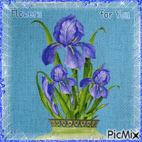 Flowers for you. Iris - GIF animado gratis