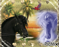 Vous aimez les chevaux, alors cette créa est pour vous les ami*es. ♥♥♥ GIF animata