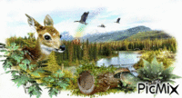 nature vivante 4 - Bezmaksas animēts GIF