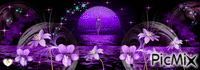 Purple moon - GIF animado grátis