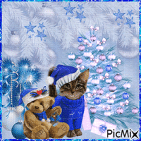 Chat de Noël. - Free animated GIF