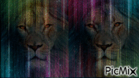 Color Lion - Animovaný GIF zadarmo