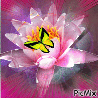 Fleur et Papillon - Безплатен анимиран GIF