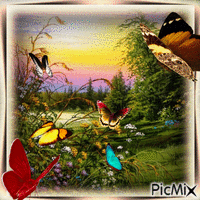 Schöne Schmetterlinge - Δωρεάν κινούμενο GIF