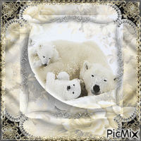 l'Ours blanc - Ours polaire