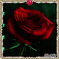 la rose rouge animowany gif