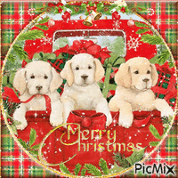 Christmas dog animals - Darmowy animowany GIF