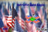 Patriotic Bald Eagle - Free animated GIF