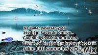 can yücel - Zdarma animovaný GIF