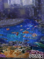 Fish fun - Безплатен анимиран GIF