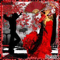 "Danseuse de Flamenco"