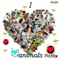 titre : love Animals ! - GIF animado gratis