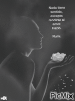 Rumi GIF animata