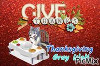 Thanksgiving Gray Wolf Animated GIF