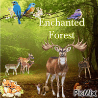 The Enchanted Forest GIF แบบเคลื่อนไหว