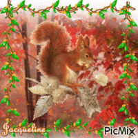 petit écureuil анимиран GIF