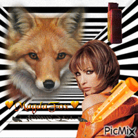 fox 动画 GIF