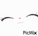meow - GIF animé gratuit