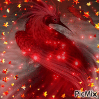 phenix - GIF animado grátis