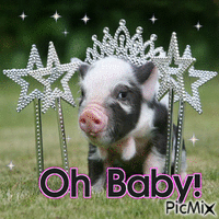 oh baby - Free animated GIF