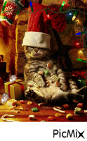 Christmas fat cat mice - GIF animé gratuit