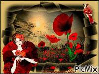 j'aime les coquelicots Animated GIF