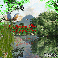 Nature-Naturaleza - Безплатен анимиран GIF