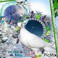 Pigeon voyageur de Noël