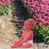 Real baby in pink flower field κινούμενο GIF