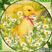 Duckling Yellow-Green-RM-03-27-23 - Kostenlose animierte GIFs