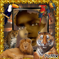 afrique Animated GIF