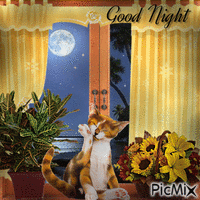 Gute Nacht Mond - GIF animé gratuit