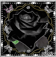 A black rose アニメーションGIF