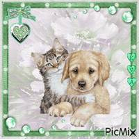 Chatons et chiots - Tons pastels... 🤍🤍🤍 - Darmowy animowany GIF