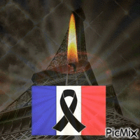 paris 13.11.2016 - GIF animado grátis
