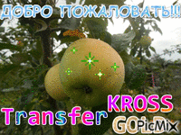 Трансферкросс - Zdarma animovaný GIF
