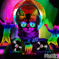 Rainbow DJ Cat GIF animé