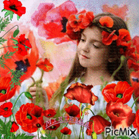 Contest!  Coquelicots magiques - Free animated GIF