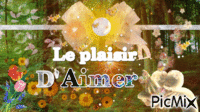 Le plaisir D'Aimer анимированный гифка