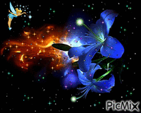 Pluie d'étoile fleurie <3 - Gratis geanimeerde GIF