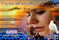 لو الايام بتتكلم- ورده - Ücretsiz animasyonlu GIF