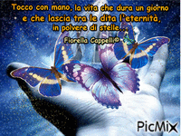 Aforisma di Fiorella Cappelli - Бесплатный анимированный гифка