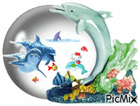 Aquarium. animovaný GIF