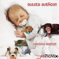 DULCES SUEÑOS!! - Free animated GIF