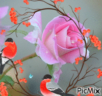 Rose- GIF animé